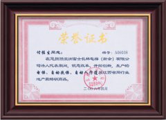 2006年荣誉证书